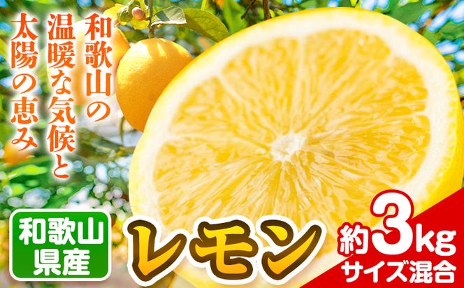 和歌山県産レモン 約3kg (サイズ混合) 厳選館 《3月中旬-6月中旬頃出荷》 和歌山県 日高町 レモン 柑橘 果物 フルーツ 送料無料---wsh_gsk17_q36_23_13000_3kg---