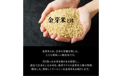 【B01013】ヒノヒカリ金芽米4.5kgと紫黒米（古代米）300g