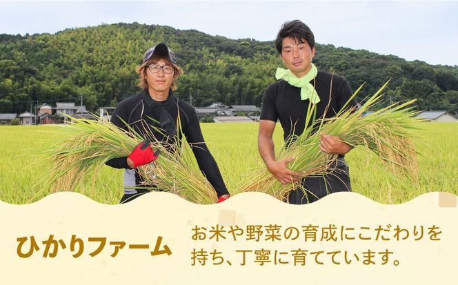 【全3回定期便】【令和6年産先行予約】 ひかりファーム の 夢つくし 10kg【2024年10月以降順次発送】《築上町》【ひかりファーム】[ABAV035]