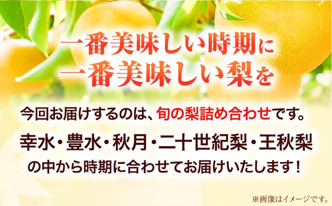 梨 幸水 豊水 約2kg 5~7玉 青空市きらり《8月中旬から12月中旬頃に出荷予定》岡山県 矢掛町 なし 幸水梨 豊水梨 あきづき 二十世紀梨 王秋梨 お中元 送料無料---osy_caksn_q812_23_12500_2kg---