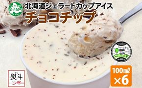 2347. 無地熨斗 くりーむ童話 カップアイス チョコチップ 100ml×6個 アイスクリーム アイス スイーツ 牛乳 ミルク 贈り物 gift ギフト プレゼント 詰め合わせ 送料無料 北海道 弟子屈町