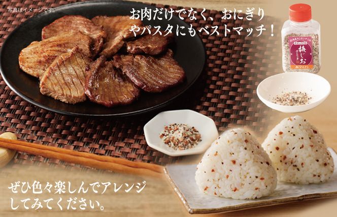 010B1306 焼き肉専門店の梅じおガーリック 90g×7本セット