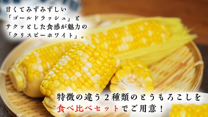 ＜先行予約＞ 2023年7月中旬以降発送 【訳あり】 加熱調理済み 真空とうもろこし 食べ比べセット（ ゴールドラッシュ＆クリスピーホワイト ） 約3kg とうもろこし トウモロコシ 食べくらべ 無添加 保存料不使用 真空 真空パック 数量限定[AU027ya]