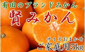 有田のブランド「賢みかん」5kg(S～Lサイズおまかせ）ご家庭用［2026年11月中旬頃より順次発送］ BZ017