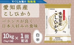 （数量限定）【すぐにお届け&日時指定可】 愛知県産コシヒカリ 10kg(5kg×2袋)　こめ コメ ごはん 安心安全なヤマトライス 米 白米 国産 精米 10キロ 新米 令和7年 H074-688