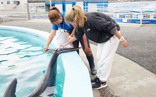 トレーナー体験３名（３歳以上小学生） dr003