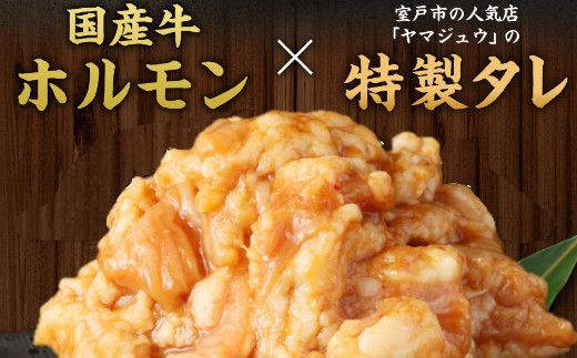 ヤマジュウの特製タレ漬け！国産牛ホルモン６００ｇ【３回定期便】_yj084