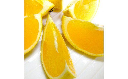 【定期便】溜池農園　柑橘定期便（年4回）