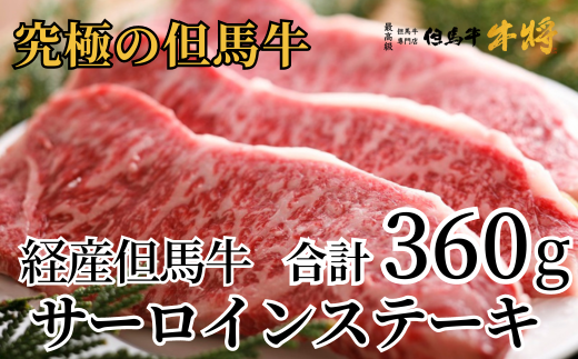 [但馬牛 サーロインステーキ180g×2 合計360g 経産但馬牛 冷凍 産地直送]発送目安:入金確認後1ヶ月程度 配送日の指定はできません。 牛肉 兵庫県 但馬 神戸 香美町 村岡 牛将 02-03