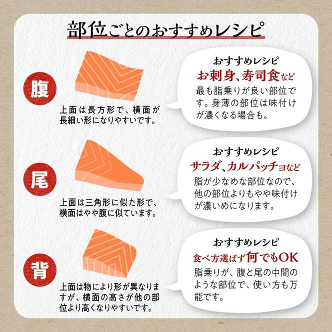 ※2025年12月末までにお届け※エンペラーサーモン≪プレーンタイプ≫【1.8kg】