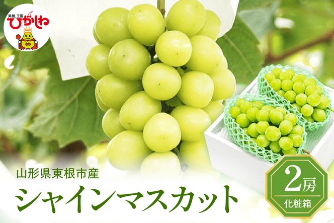 yR`sz2026NԂǂuVC}XJbgvGi ϔ 2[(1.2kg) _YZ^[ R` s hi027-234