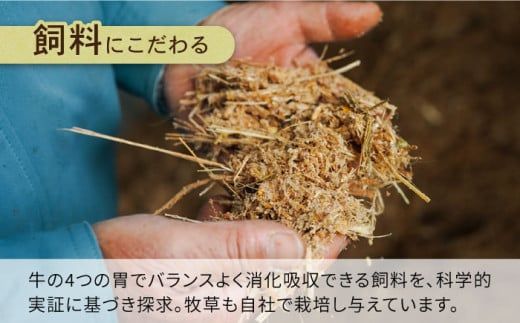 【12回定期便】長崎県産 和牛 切り落とし1kg / 南島原市 / 高田牧場 [SDB007]