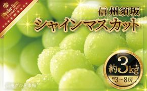 シャインマスカット 約3kg (約3～8房) 《信州グルメ市場》■2025年発送■※9月上旬頃～10月下旬頃まで順次発送予定