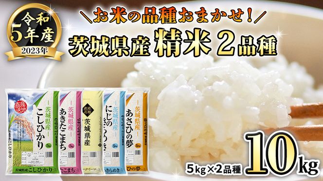 美味しい新米茨城産コシヒカリ10kg  10月5日精米済み 茨城県産コシヒカリ 10kg（5kg×2袋） 【精白米】 令和6年産 米