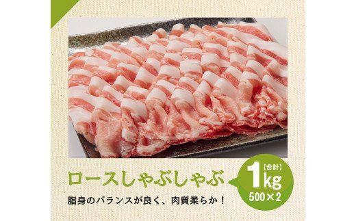 宮崎県産豚肉しゃぶしゃぶセット3kg [G7522]
