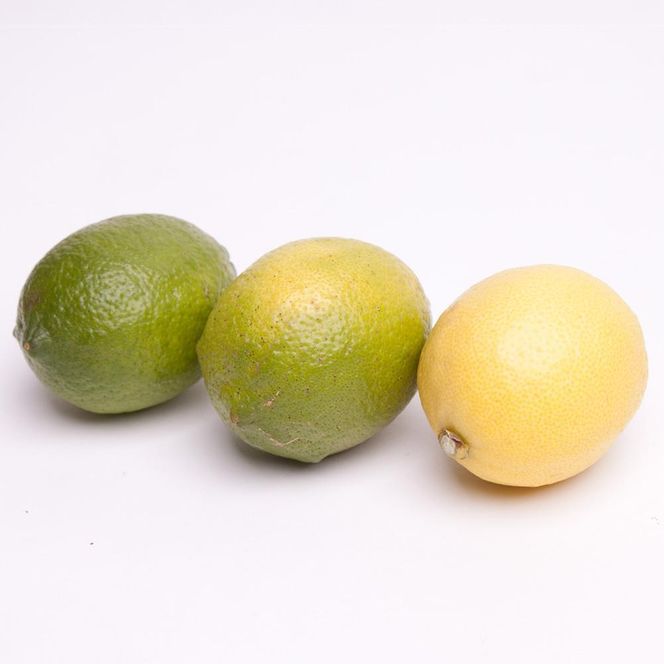 ［先行予約］わけあり レモン5kg+250g（傷み補償分）［和歌山有田産］［防腐剤・WAX不使用、安心の国産レモン］［わけあり・訳ありレモン］ 	CZ106