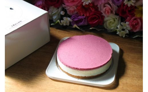 【築上町産ブルーベリー使用】 ブルーベリー ヨーグルト ムース ケーキ《築上町》【(有)工房よしかわ】 国産 ブルーベリー [ABAK002]