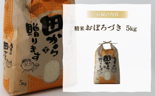 北海道 豊浦 令和5年産 精米 おぼろづき 5kg  TYUQ007