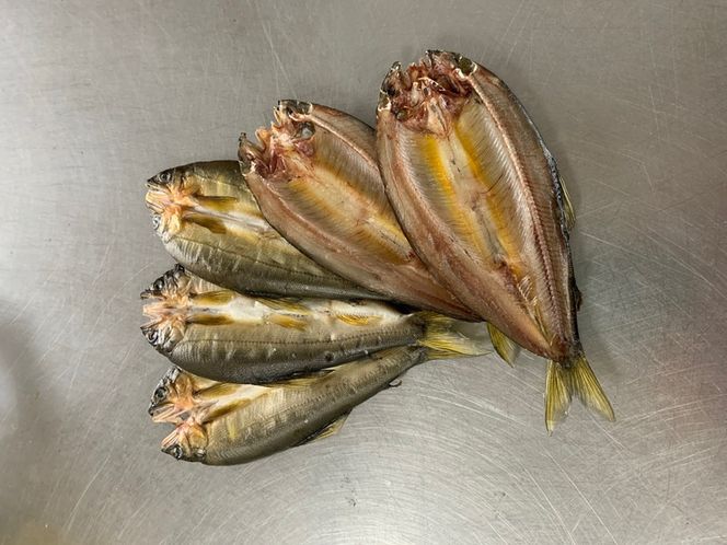 地下水育ち　鮎一夜干し　5尾入り