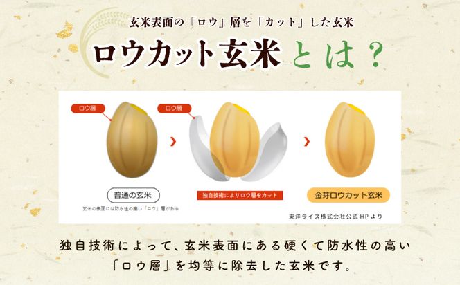 099H202 金芽ロウカット玄米 4kg【東洋ライス 2kg×2P お米 米 099H202 金芽ロウカット玄米 4kg【東洋ライス 2kg×2P お米 米