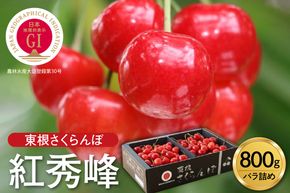 【2027年産】GI東根さくらんぼ「紅秀峰」800g バラ詰め 山形県 東根市 hi001-040-r9