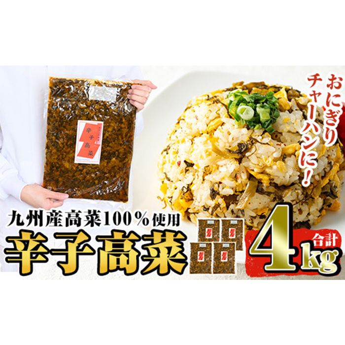 a568 九州産辛子高菜セット4kg(1kg×4パック)[九州新進]国産 九州産 たかな 漬物 漬け物 ご飯のお供 おかず おつまみ おにぎり 常温 常温保存