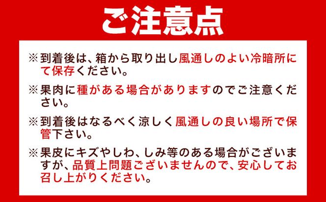 とろける食感!ジューシー柑橘 せとか 約3kg 魚鶴商店 《2026年2月下旬-3月下旬頃出荷》 和歌山県 日高町 みかん 柑橘 果物 フルーツ 送料無料---wsh_uot113_2g3g_25_20000_3kg---