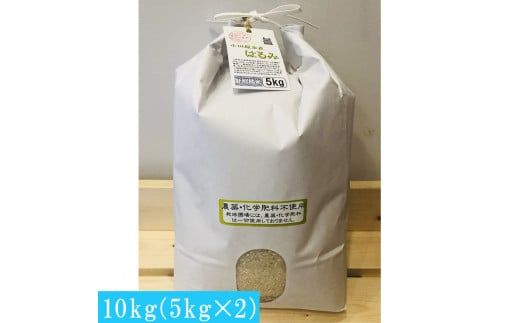 93-2687　  志村屋米穀店 令和6年産新米小田原市産 農薬・化学肥料不使用はるみ 新米 10kg（5kgｘ2）＜出荷時期：10月中旬より順次出荷開始＞