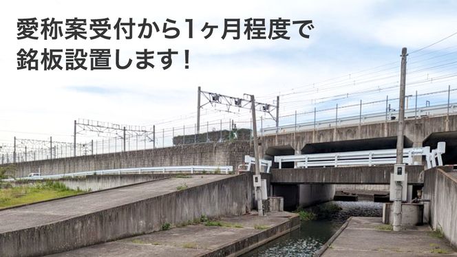 つくばみらい市 橋の愛称 命名権 （橋長10m～30m） 命名権 命名 橋 名づけ 権利 広告 ネーミングライツ [EO02-NT]