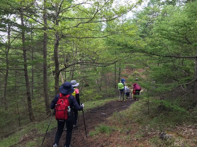 山小屋で昼食＆プロガイド付き富士山五合目トレッキング（3～5名）◇【体験　自然　トレッキング　ハイキング】