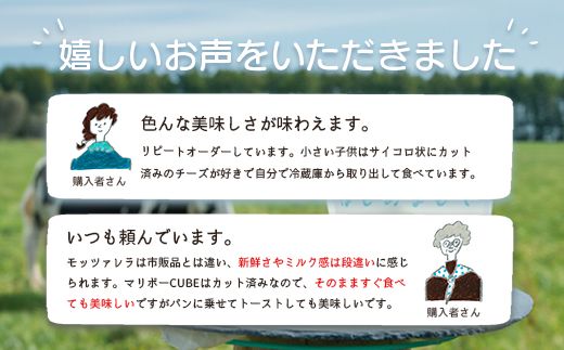 竹下牧場 takeshita farm【定期便３ヶ月】まるごとチーズセット 計560g【2400201】