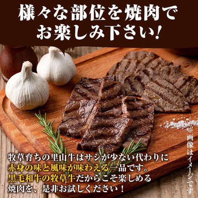 国産黒毛和牛 牧草育ちの里山牛 焼肉・ホルモンセット 計1kg以上 b8-031