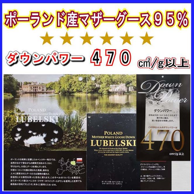 CK311 羽毛掛け布団 ポーランド産マザーグース95%ダウンパワー470 羽毛布団セミダブル170×210cm