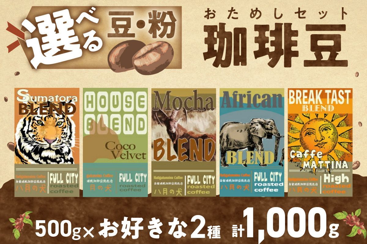 5種類から2つ選べる 自家焙煎コーヒー豆 飲み比べセット 1000g(500gx2種/約100杯分)挽き方が選べる 八月の犬 飲料 珈琲 こーひー コーヒー coffee
