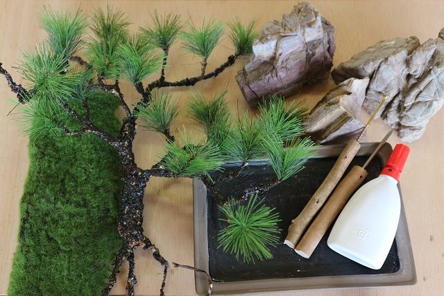 近代出版 月刊『近代盆栽』12月号 2024 – 現代盆栽 Gendaibonsai