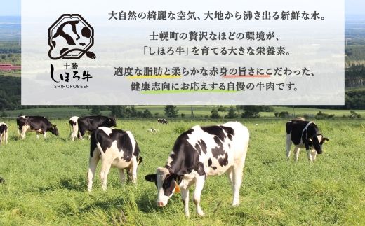 ■定期便■ 北海道 しほろ牛 冬の定期便 全3回 牛肉 サーロイン ステーキ リブロース 肉 牛 赤身肉 国産牛 肉 ビーフ 牛肉 焼肉 冷凍 お取り寄せ 頒布会 送料無料 十勝 士幌町 75000円 【X21】