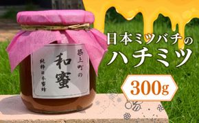 【福岡県築上町産】上村さん家の はちみつ 「 築上町の 和蜜 」300g《築上町》【上村　忍】[ABBX001]