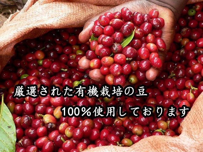 希少！有機栽培の豆100％　ドリップバッグコーヒー ご家庭用(ホット30パックセット)　H046-035