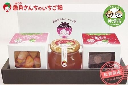 ひめかちゃんのキューブセット[いちご イチゴ 苺 さがほのか ドライフルーツ 佐賀県産 プチギフト 凍らせてシャーベット] (H017114)