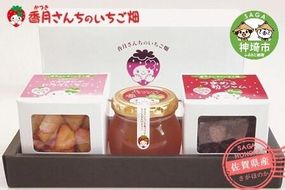 ひめかちゃんのキューブセット【いちご イチゴ 苺 さがほのか ドライフルーツ 佐賀県産 プチギフト 凍らせてシャーベット】 (H017114)