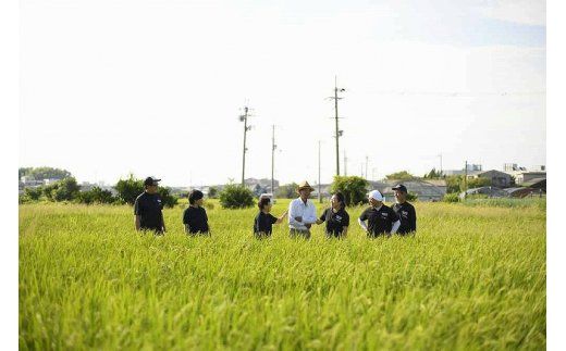 020C066 Premium水なすセット【新鮮 野菜 泉佐野産 茄子 やさい 高評価 数量限定】