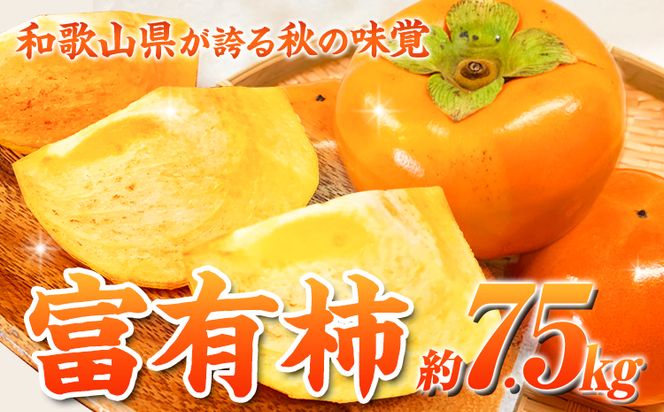 ＊先行予約＊和歌山 秋の味覚 富有柿 約7.5kg 株式会社魚鶴商店《2024年11月上旬-12月上旬頃出荷》和歌山県 日高町 柿 富有柿 フルーツ---wsh_utshk_ad11_22_21000_7500g---