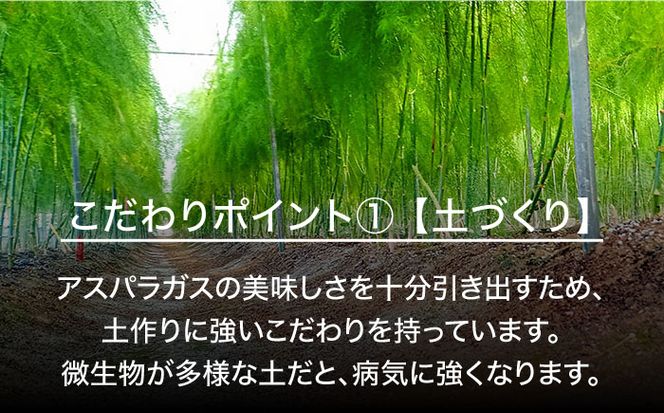 【6回定期便】【星のアスパラ】春＆夏 の グリーン アスパラガス 約1kg / アスパラ 春野菜 野菜 / 南島原市 / ほしのYA[SEY011]