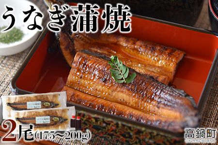 y{茧S璬zȂ i175`200gj×2 ɏoׁyc972_un_x3z