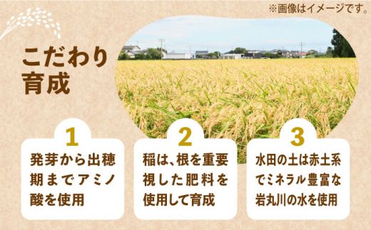 【全3回定期便】【令和6年産先行予約】 ひかりファーム の 夢つくし 3kg【2024年10月以降順次発送】【2024年10月以降順次発送】《築上町》【ひかりファーム】[ABAV033]