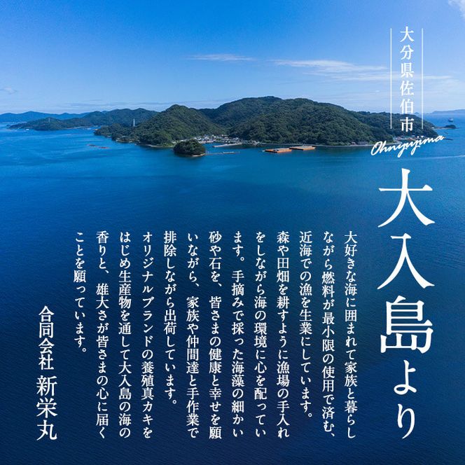 大入島 バージン オイスター 牡蠣 約1kg (1個約50g前後・20個入) 生食可 冷凍 | 真牡蠣 かき 貝 かい 酒蒸し 焼き牡蠣 パスタ 国産 一口サイズ ご当地 お取り寄せ グルメ 大分県 佐伯市【ED06】【(合)新栄丸】