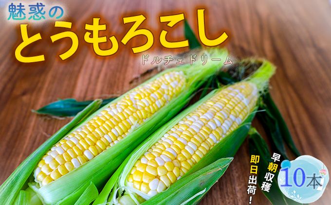 とうもろこし ドルチェドリーム10本