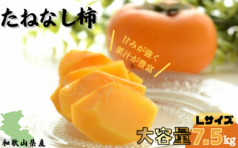 [先行予約][JAわかやま]Lサイズ たねなし柿 約7.5kg [2025年9月下旬〜10月下旬に順次発送致します。] [jan001]