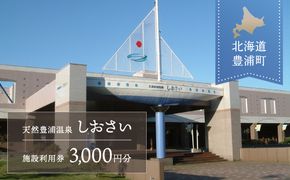 【天然豊浦温泉しおさい】施設利用券 3,000円分 TYUAA003