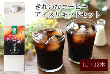 【C8-013】きれいなコーヒーアイスリキッドセット12本